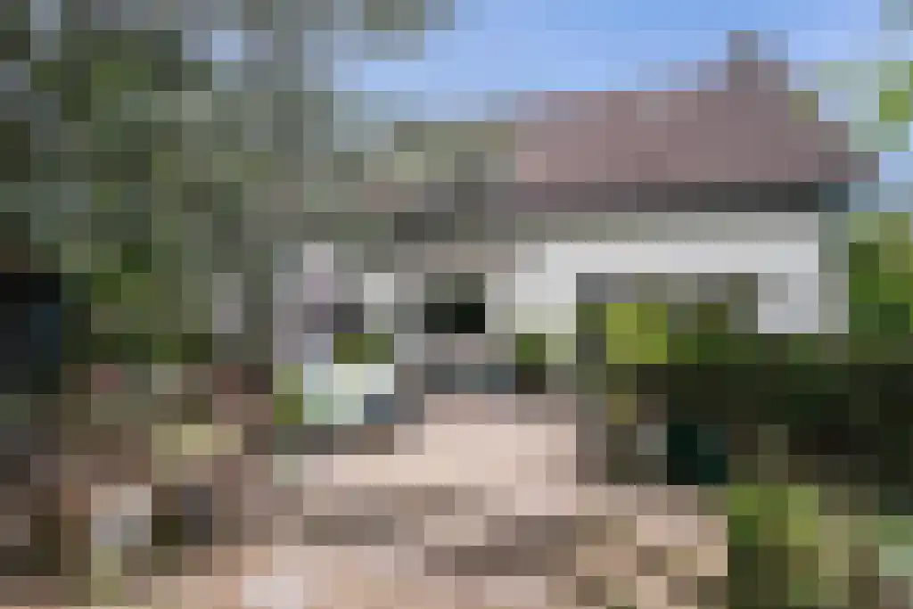 Kinkenpolder 10 Kaatsheuvel thumbnail 36