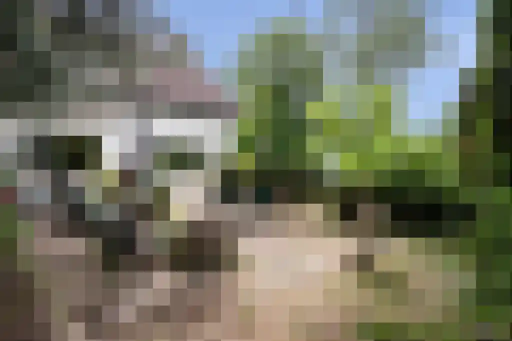 Kinkenpolder 10 Kaatsheuvel thumbnail 37