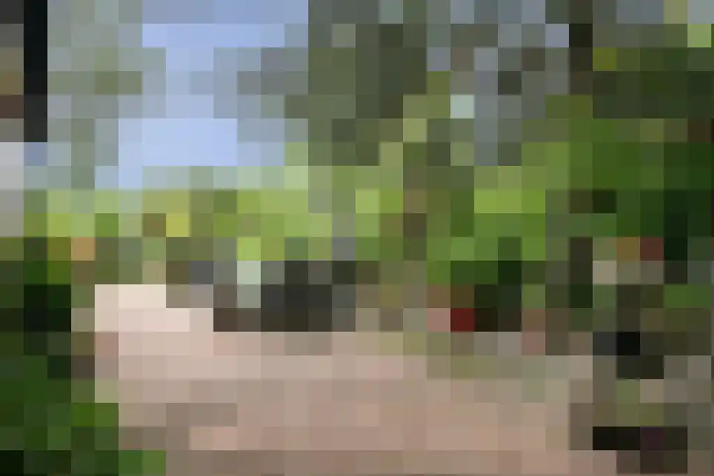 Kinkenpolder 10 Kaatsheuvel thumbnail 41