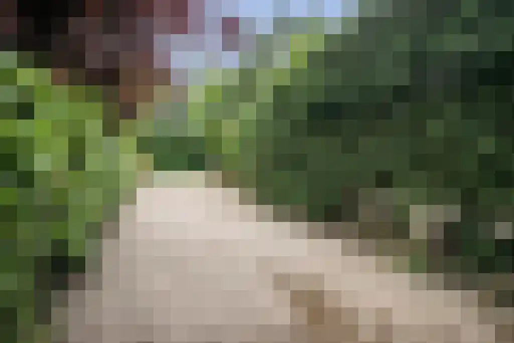 Kinkenpolder 10 Kaatsheuvel thumbnail 42