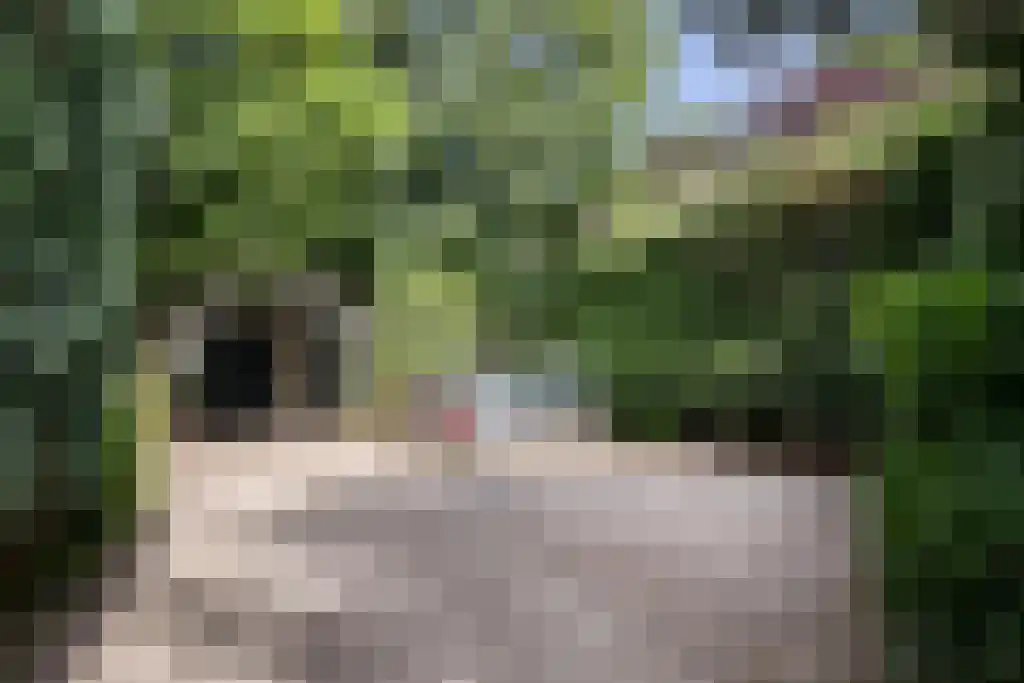 Kinkenpolder 10 Kaatsheuvel thumbnail 44