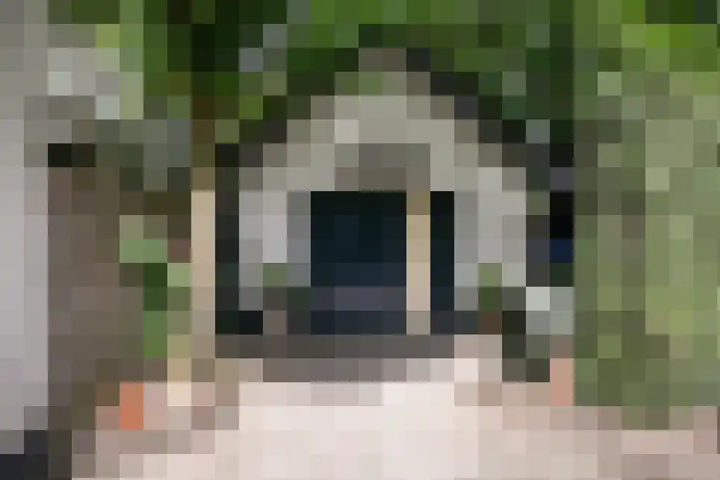 Kinkenpolder 10 Kaatsheuvel thumbnail 45