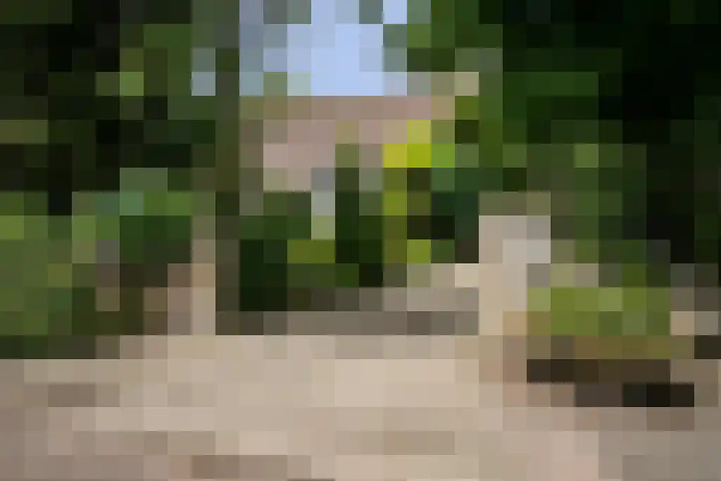 Kinkenpolder 10 Kaatsheuvel thumbnail 5