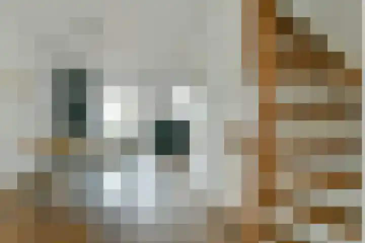 Kinkerstraat 142 A 2 Amsterdam thumbnail 9