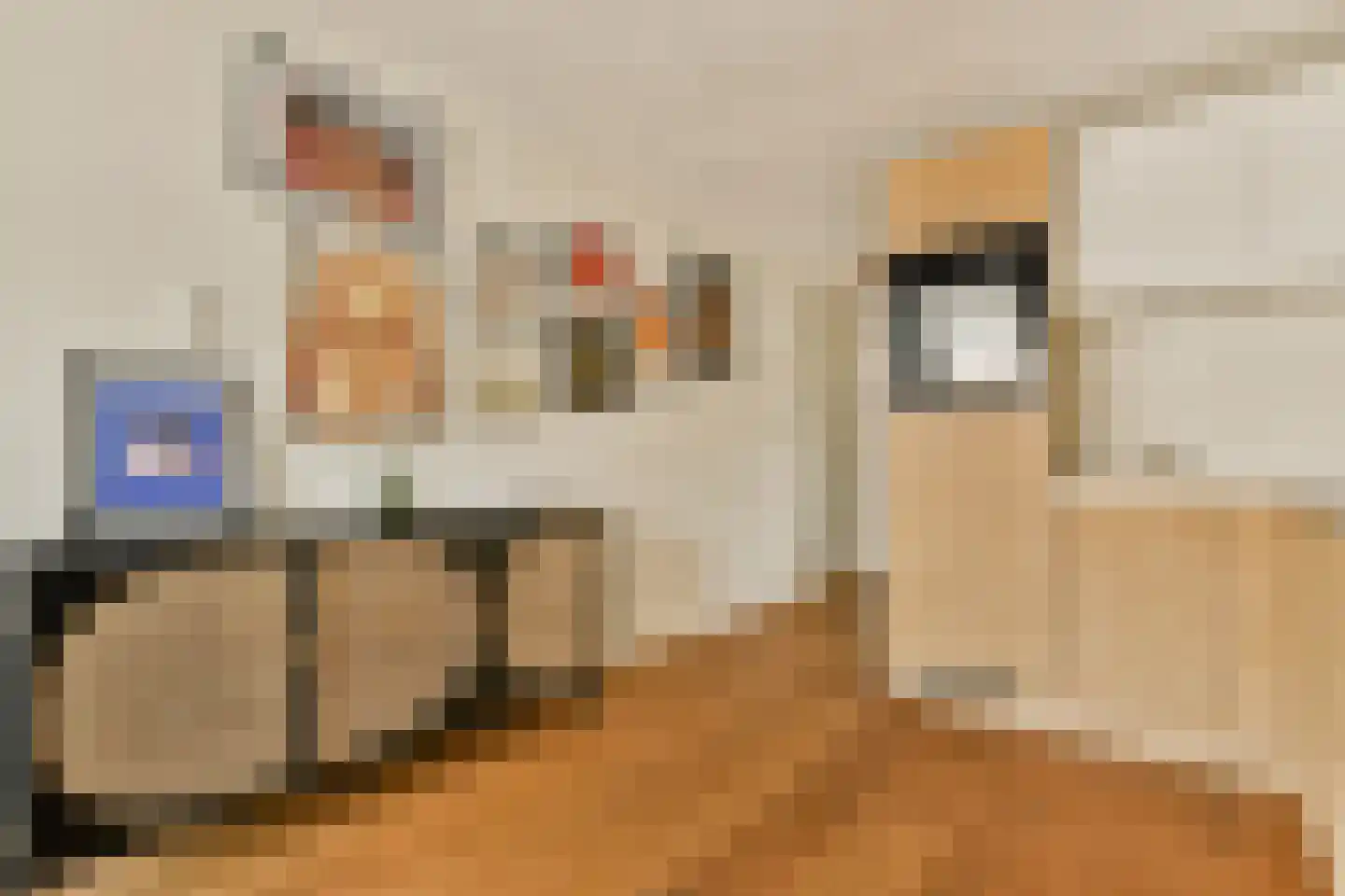 Kinkerstraat 21 3 Amsterdam thumbnail 5