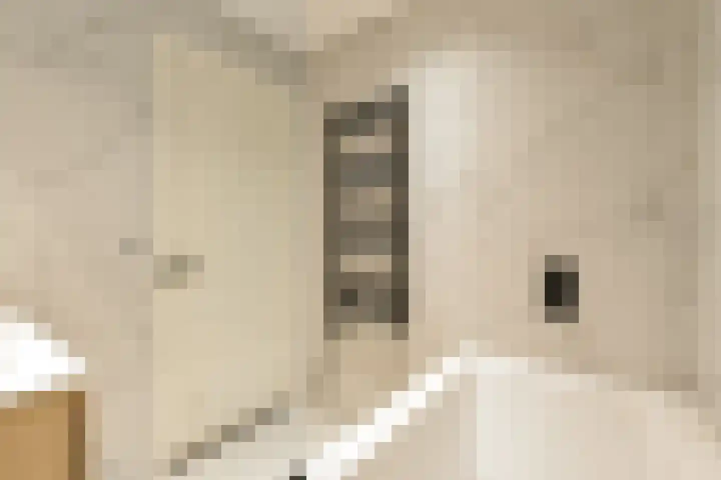 Kinkerstraat 21 4 Amsterdam thumbnail 11