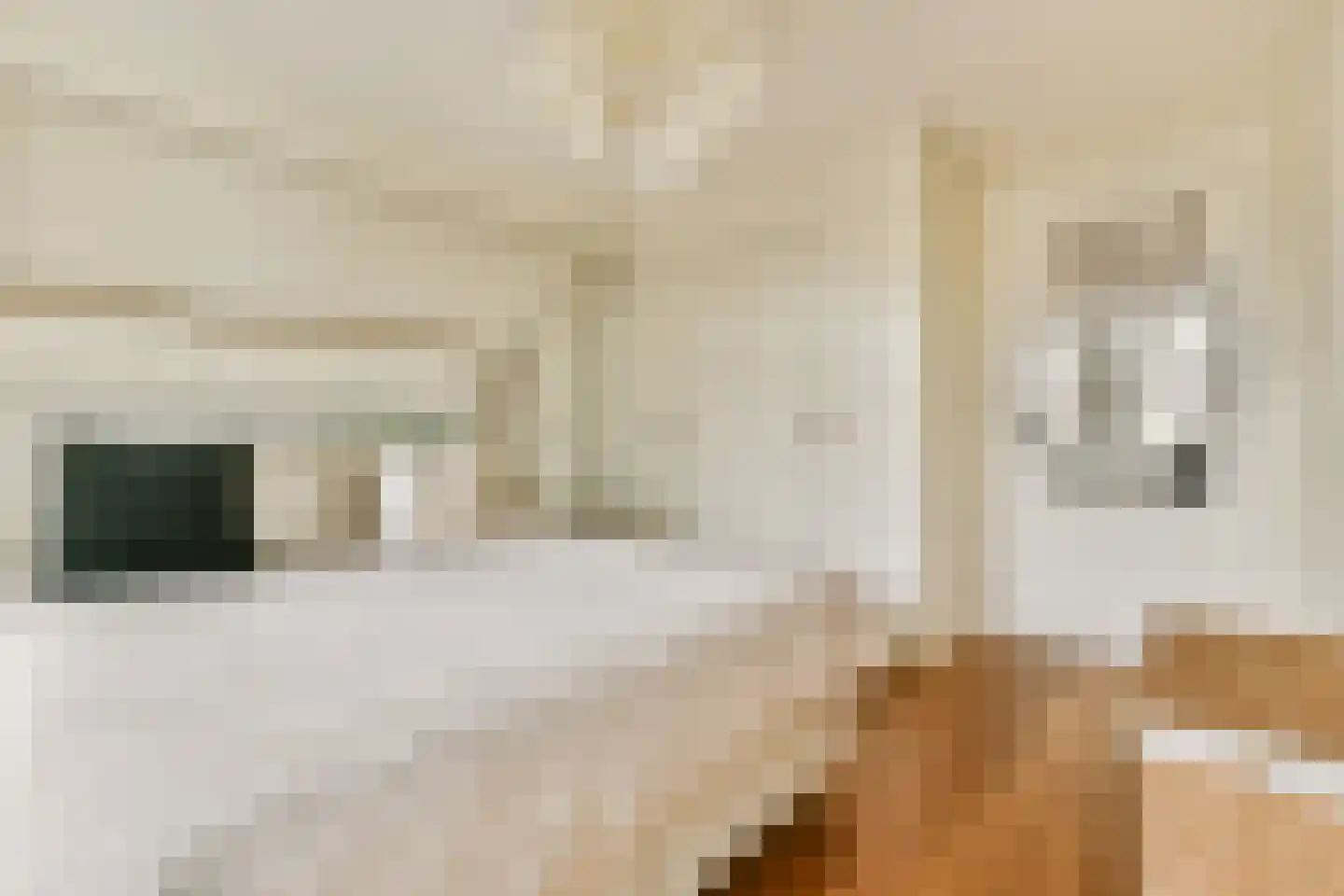 Kinkerstraat 21 4 Amsterdam thumbnail 14