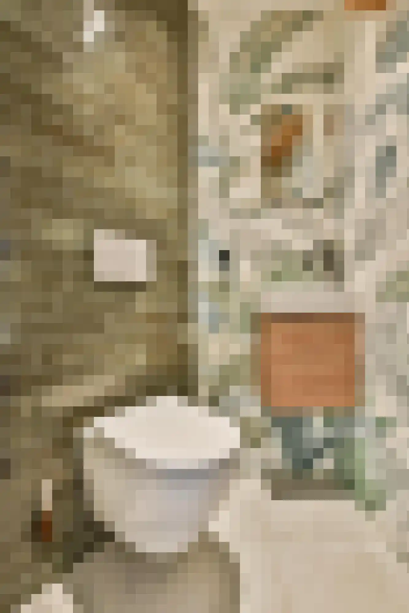 Kinkerstraat 21 4 Amsterdam thumbnail 18