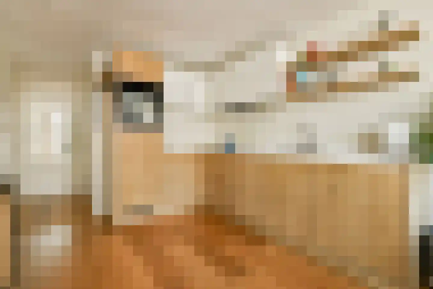 Kinkerstraat 21 4 Amsterdam thumbnail 4