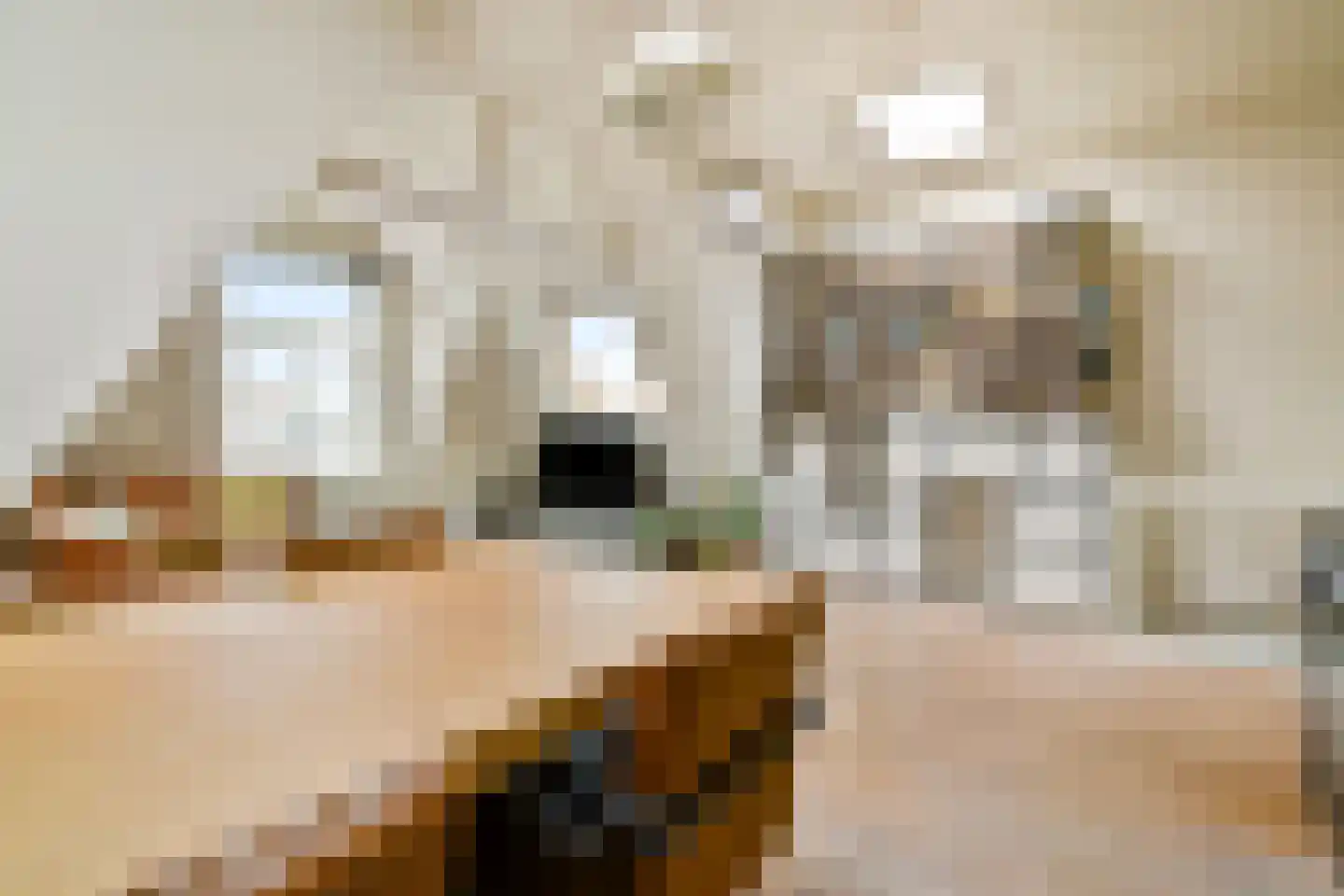 Kinkerstraat 21 5 Amsterdam thumbnail 4