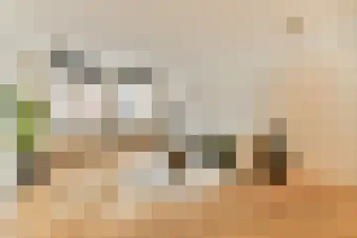 Kinkerstraat 217 A Amsterdam