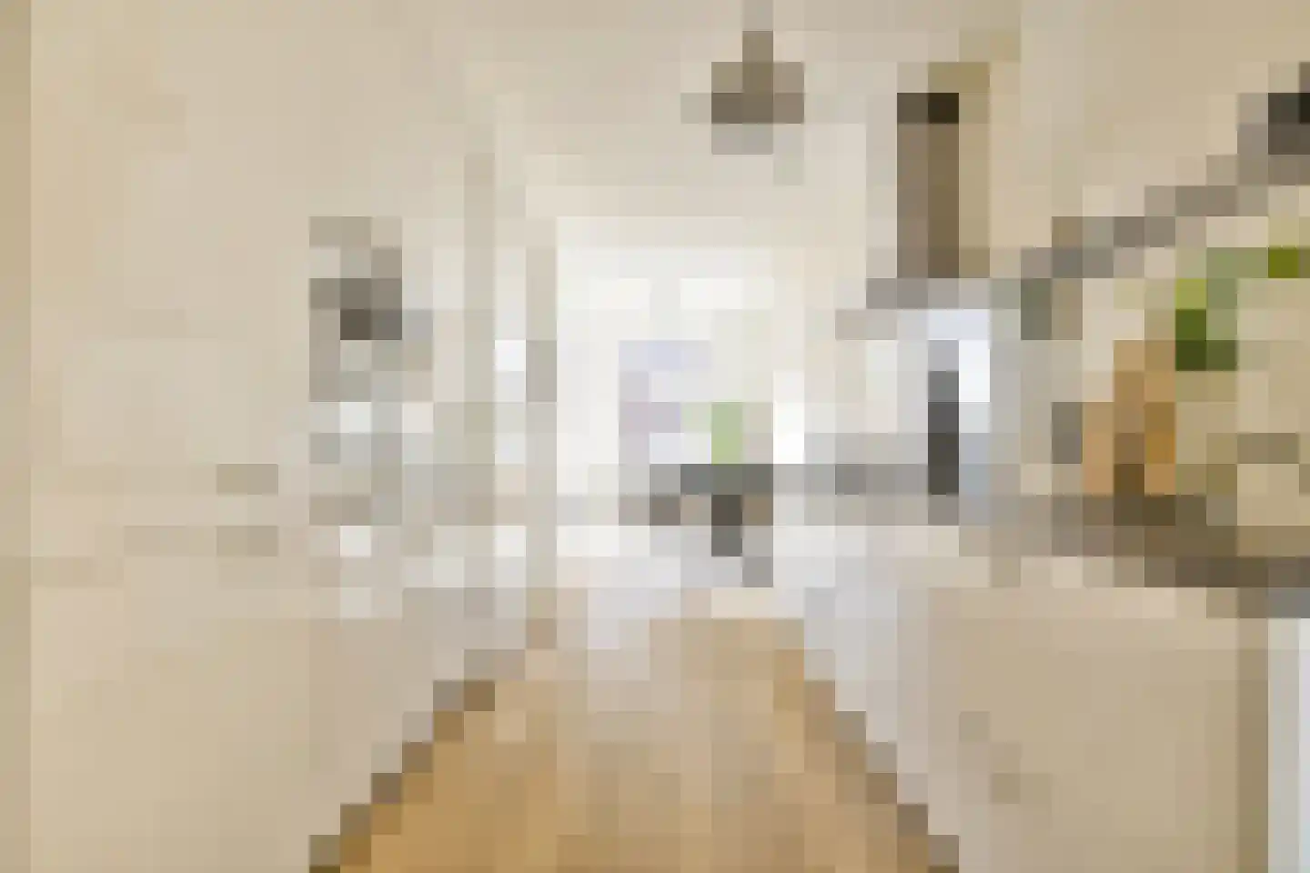 Kinkerstraat 232 3 Amsterdam thumbnail 7