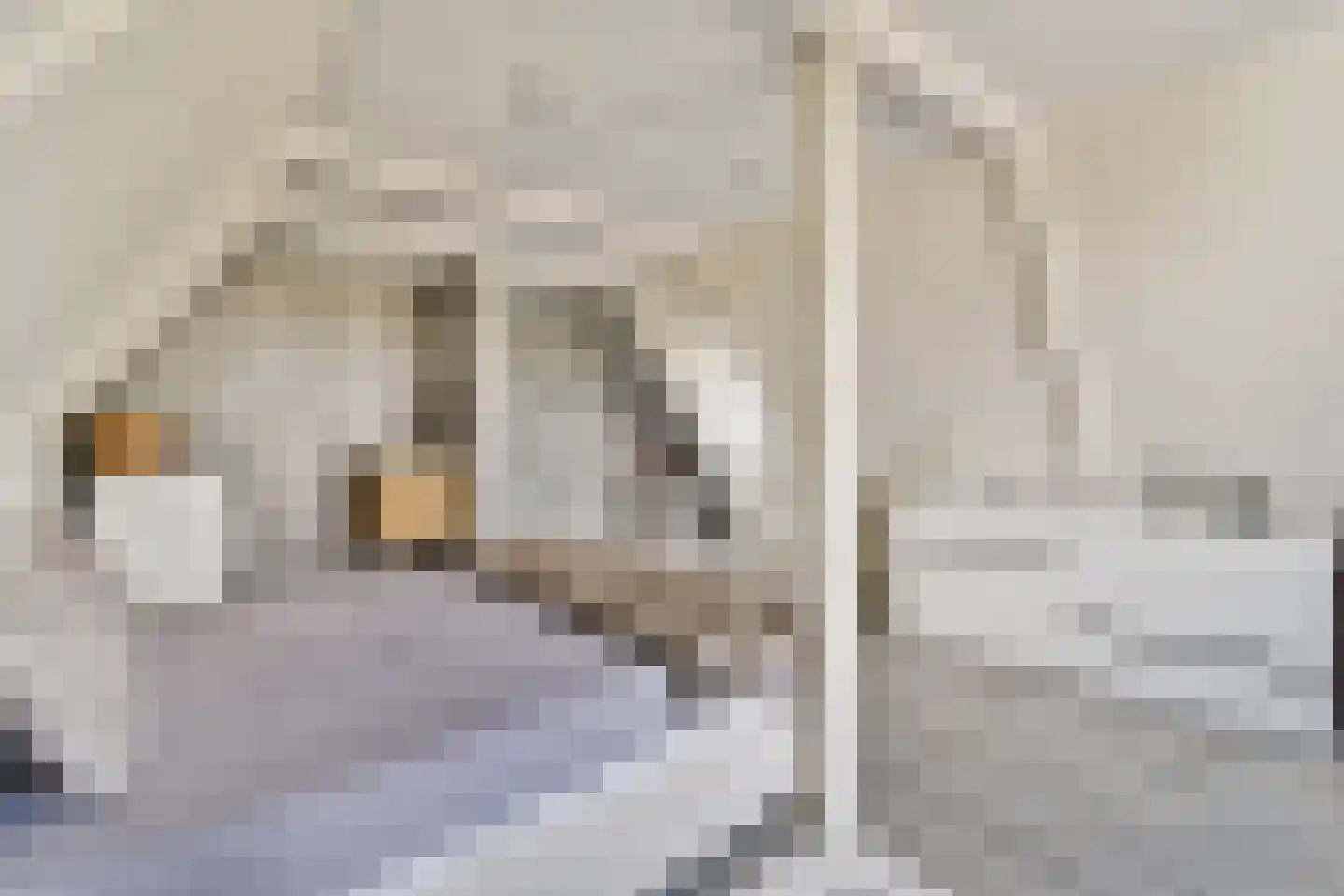 Kinkerstraat 24 1 Amsterdam thumbnail 12