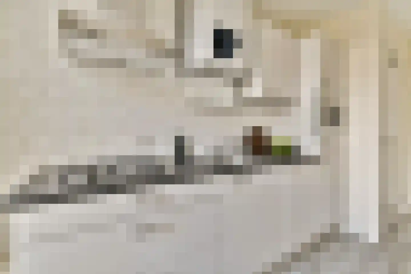 Kinkerstraat 24 1 Amsterdam thumbnail 7
