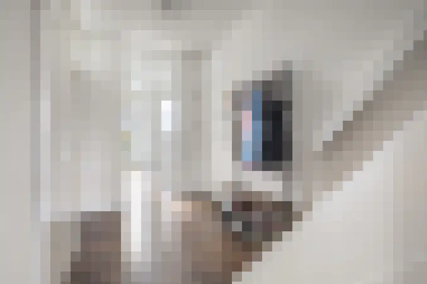 Kinkerstraat 243 E Amsterdam thumbnail 16