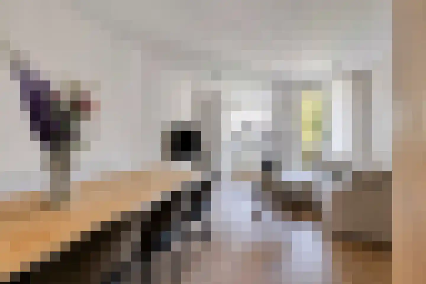 Kinkerstraat 324 2 Amsterdam thumbnail 9