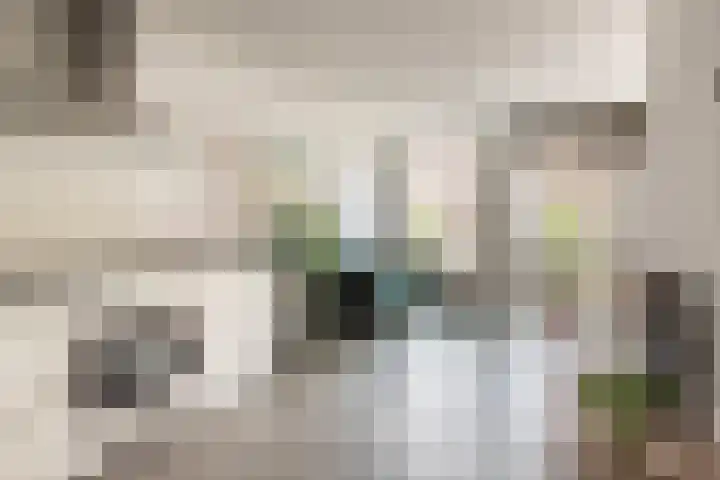 Kinkerstraat 358 3 Amsterdam thumbnail 7