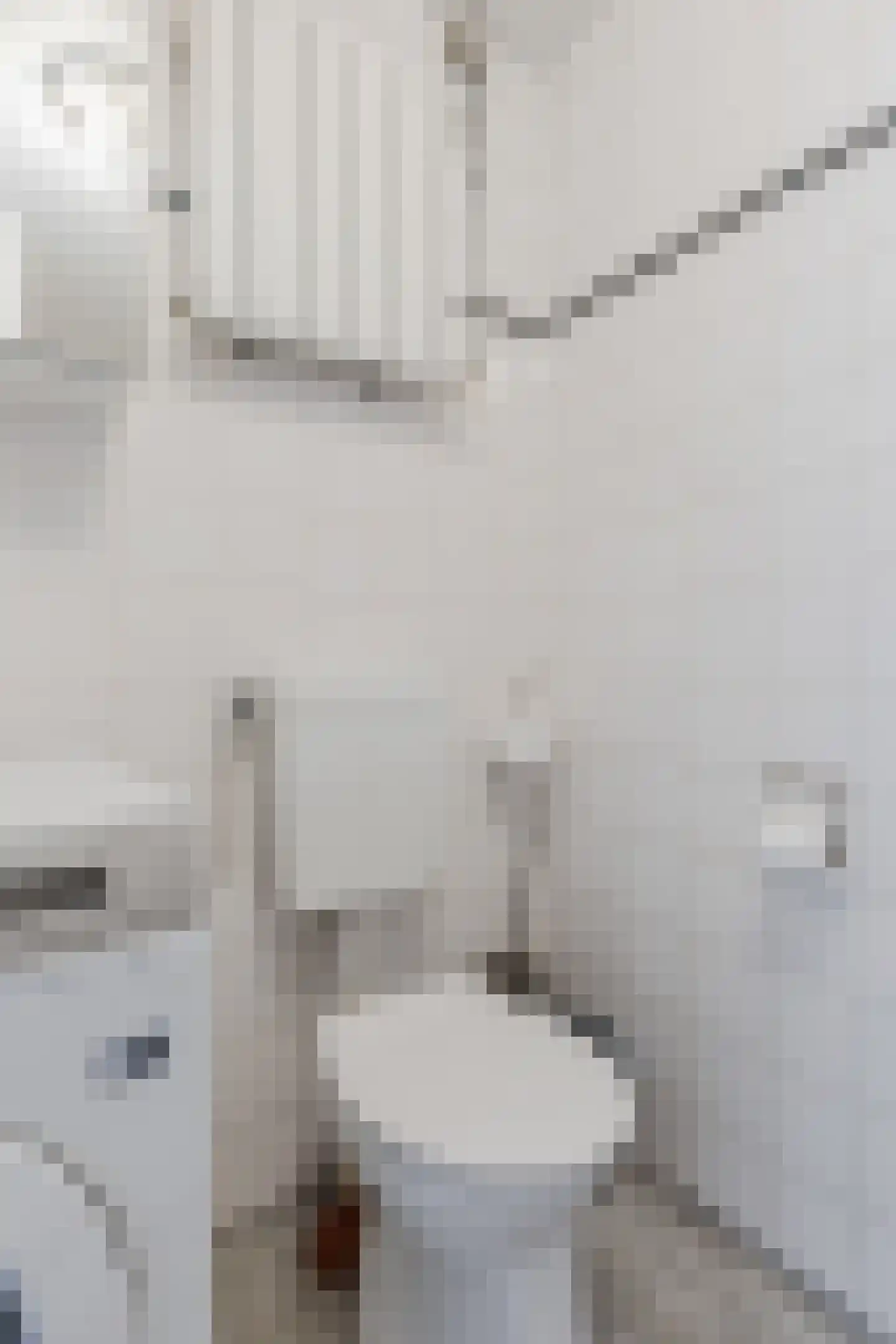 Kinkerstraat 51 A 1 Amsterdam thumbnail 19