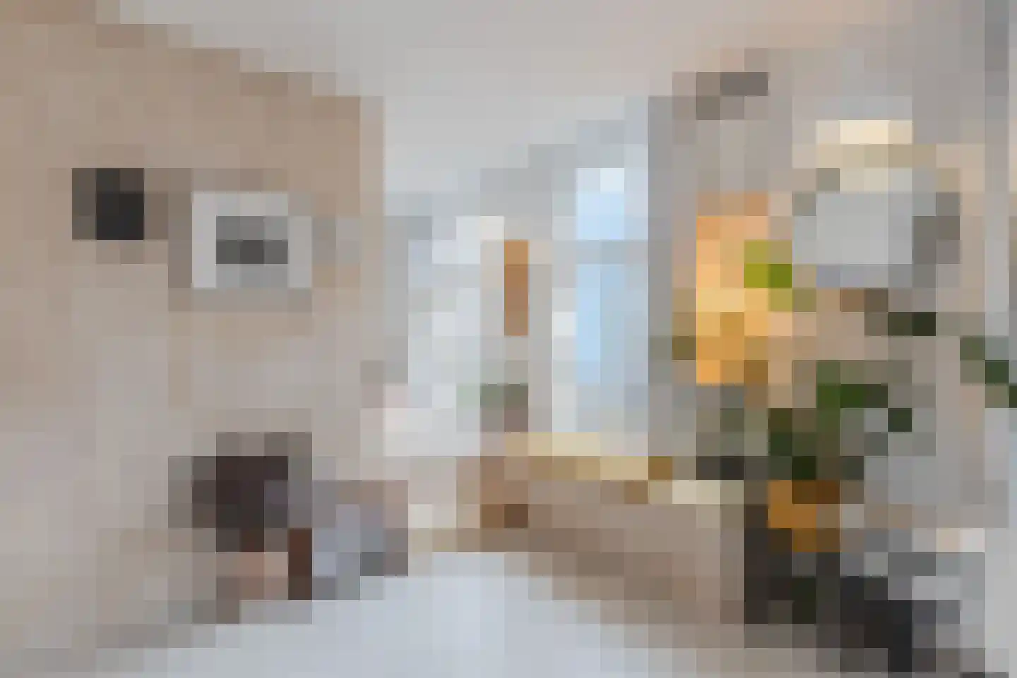 Kinkerstraat 51 A 1 Amsterdam thumbnail 5