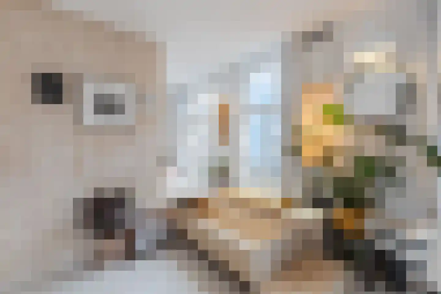 Kinkerstraat 51 A 1 Amsterdam thumbnail 6