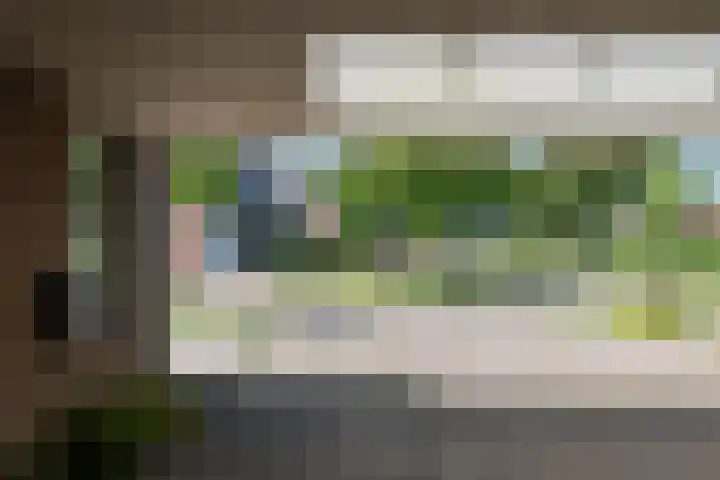 Kinkhoarn 52 Stiens thumbnail 12
