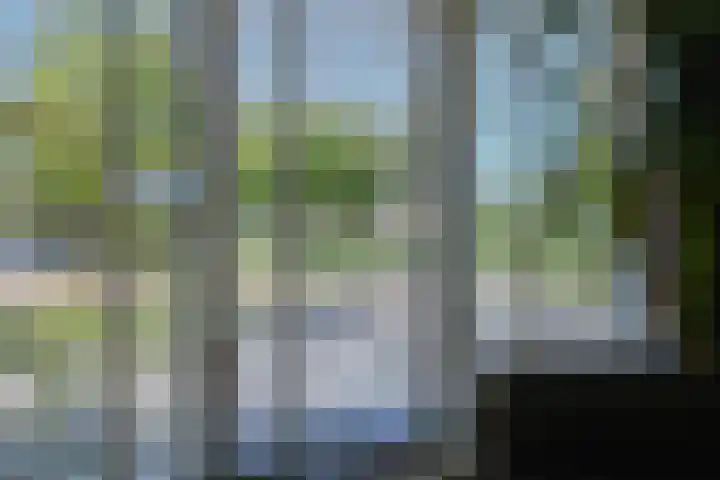 Kinkhoarn 52 Stiens thumbnail 16