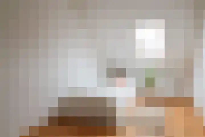 Kinkhoarn 52 Stiens thumbnail 4