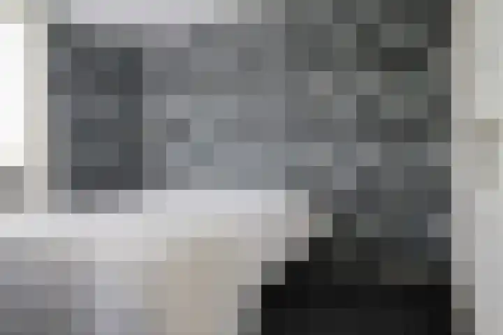 Kinkhoarn 52 Stiens thumbnail 5