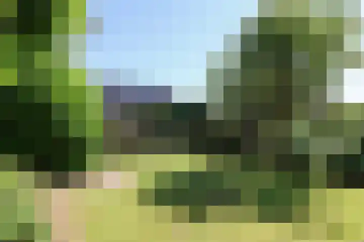 Kinkhoarn 52 Stiens thumbnail 50