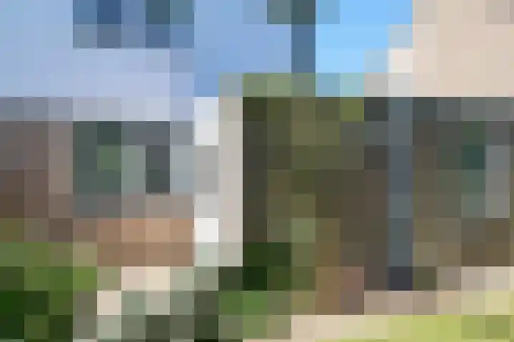 Kinkhoarn 52 Stiens thumbnail 51