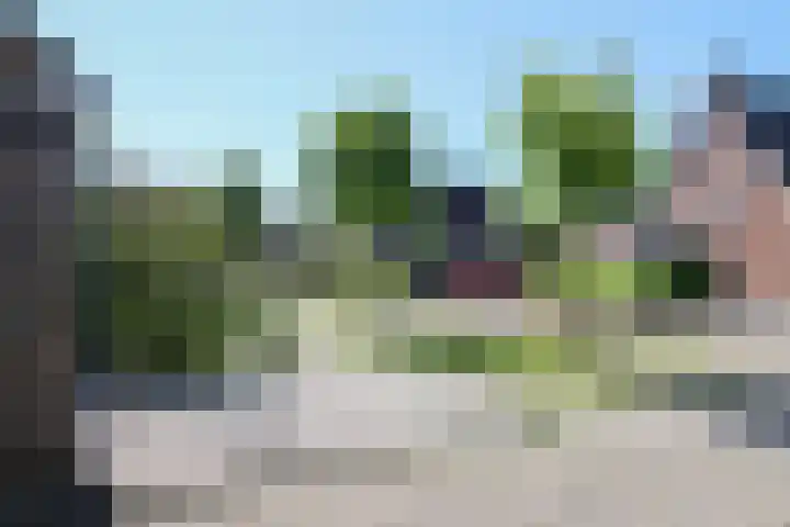 Kinkhoarn 52 Stiens thumbnail 55