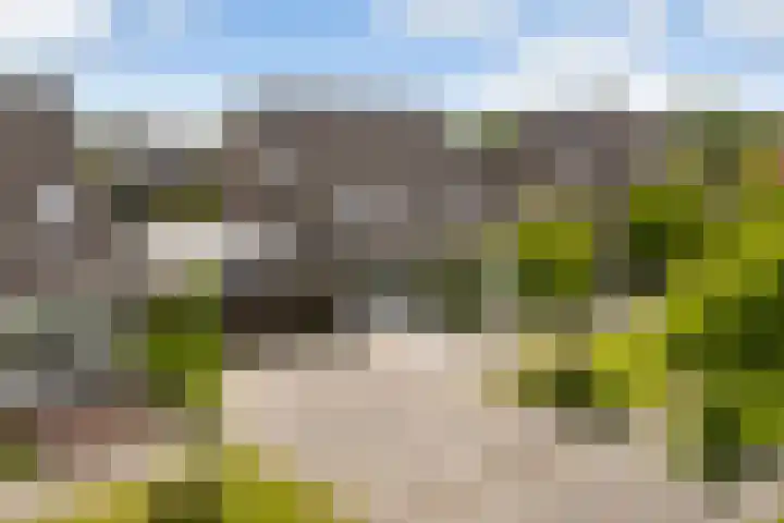 Kinkhoarn 52 Stiens thumbnail 59