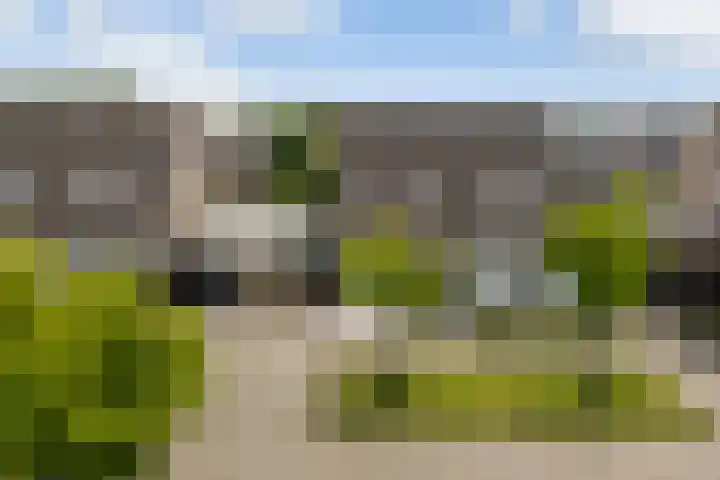 Kinkhoarn 52 Stiens thumbnail 61