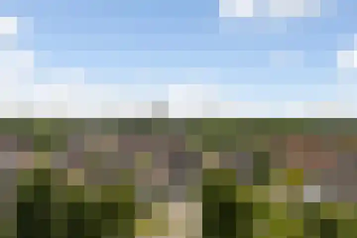 Kinkhoarn 52 Stiens thumbnail 68