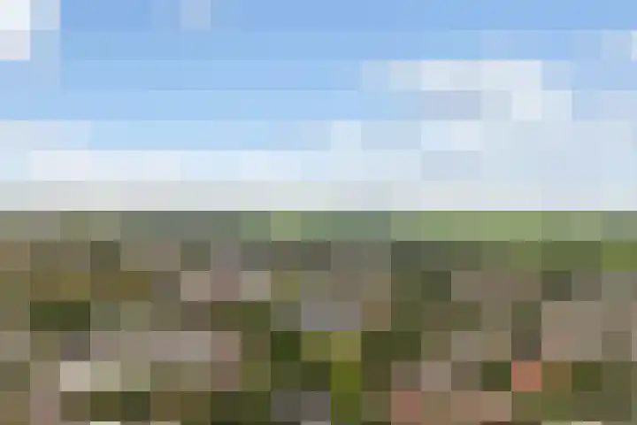 Kinkhoarn 52 Stiens thumbnail 8