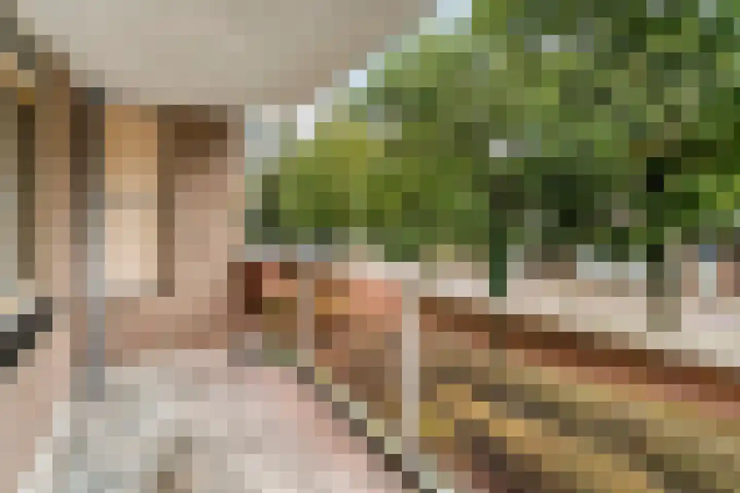 Kinkhorststraat 10 Meppel thumbnail 27