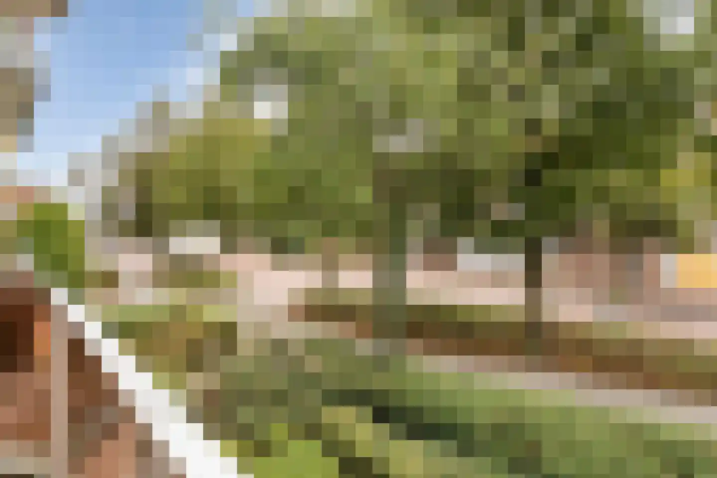 Kinkhorststraat 10 Meppel thumbnail 30