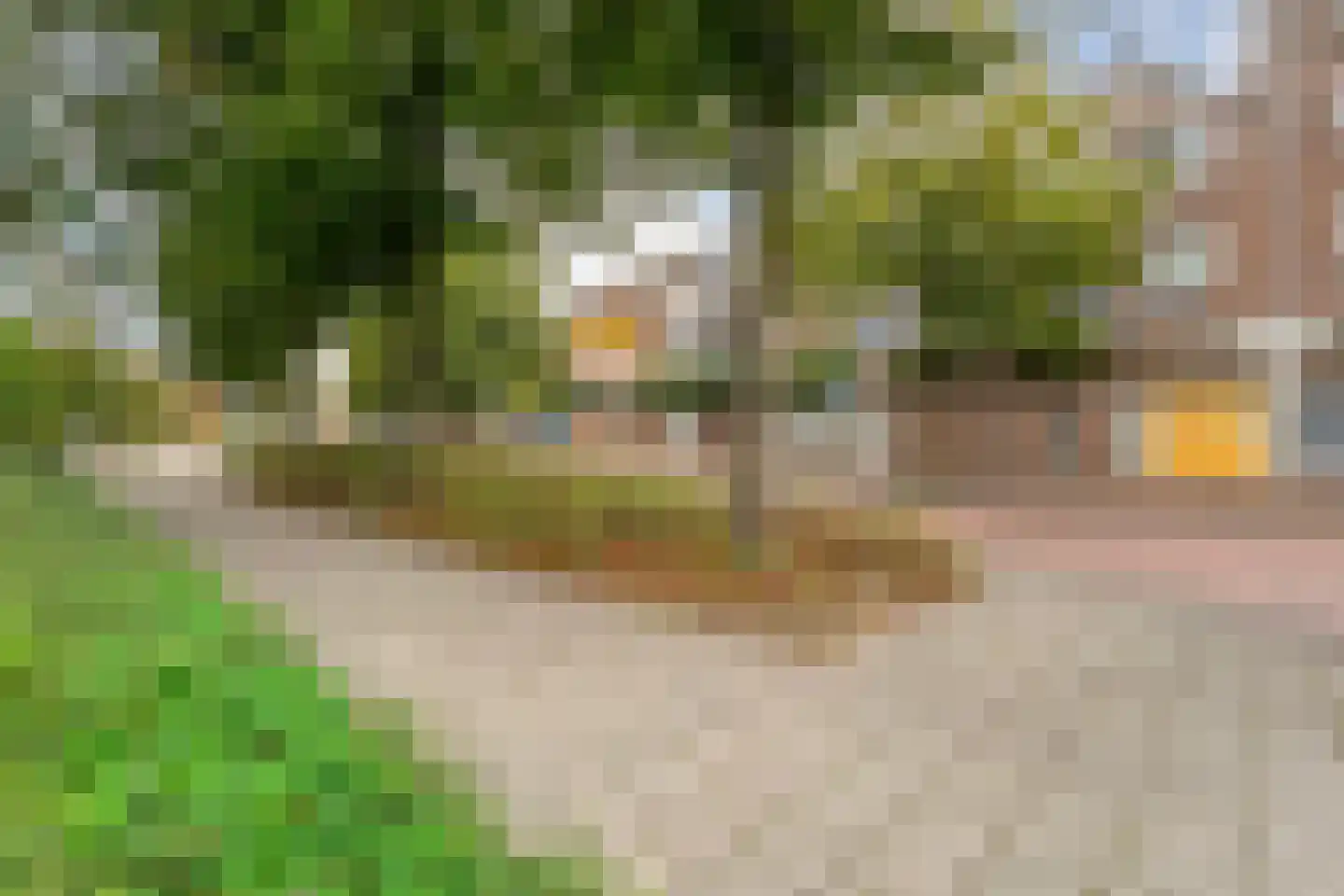Kinkhorststraat 10 Meppel thumbnail 5