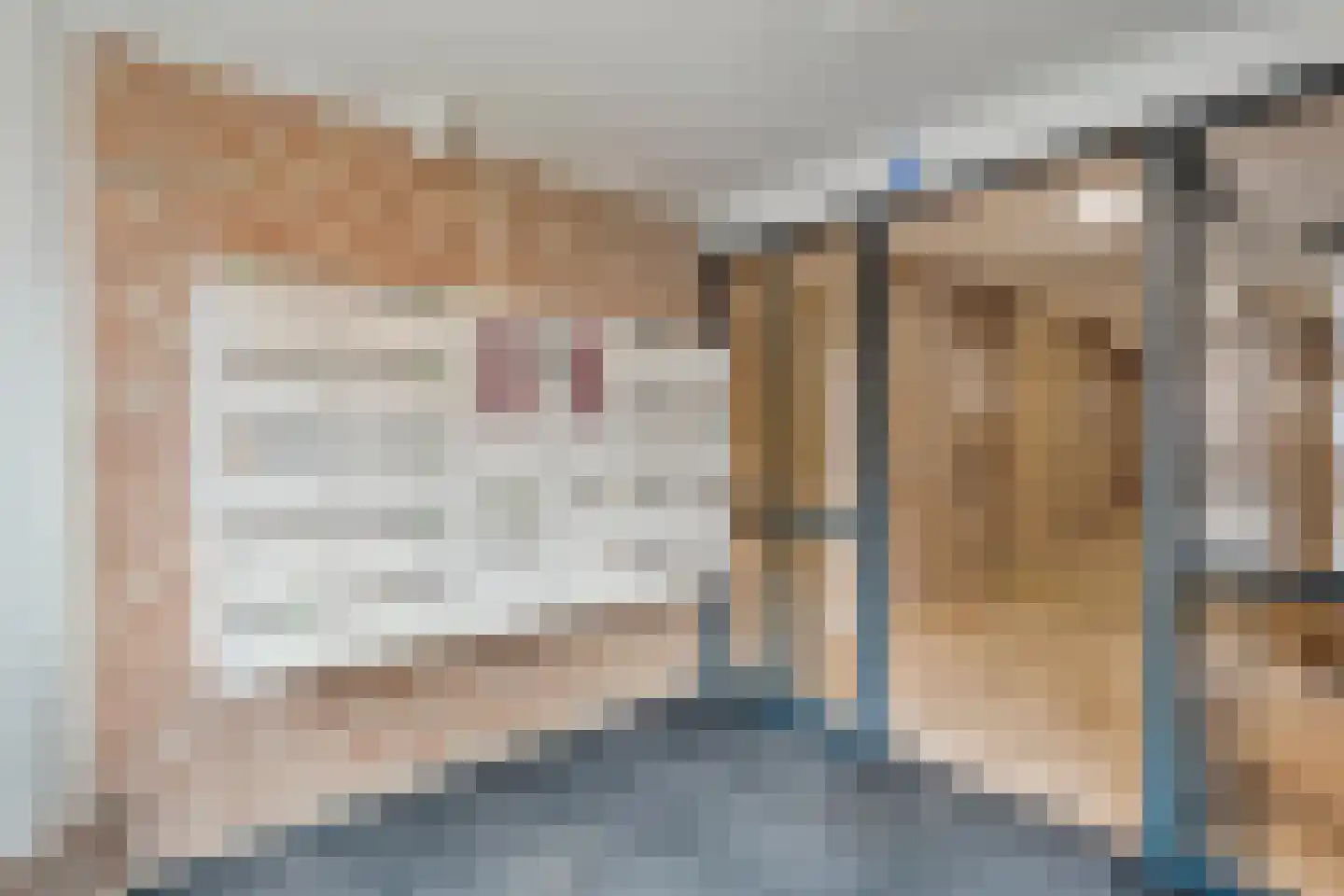 Kinkhorststraat 10 Meppel thumbnail 6