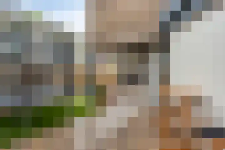 Kinkhorststraat 52 Meppel thumbnail 38