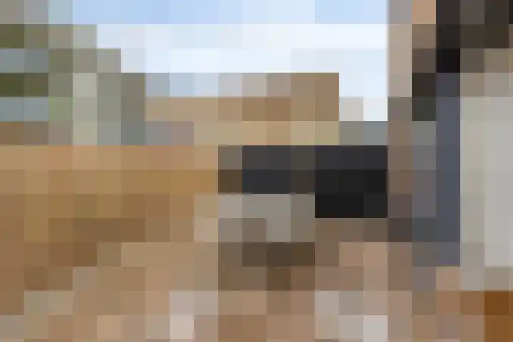 Kinkhorststraat 52 Meppel thumbnail 40