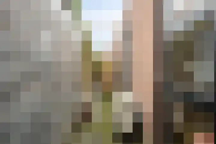 Kinkhorststraat 52 Meppel thumbnail 42