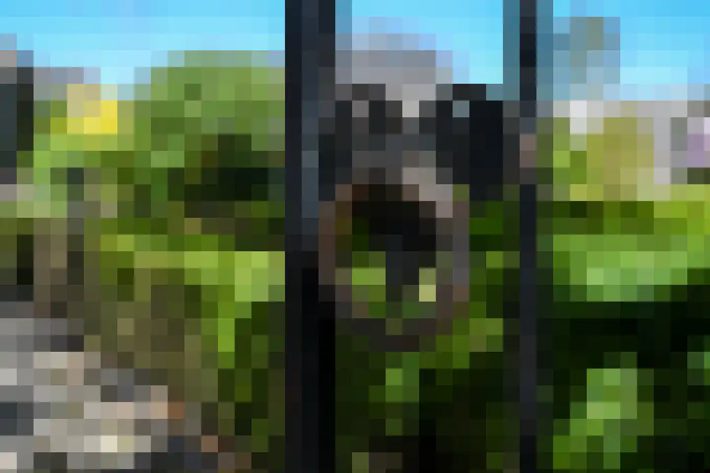 Kinkhoven 16 Neer thumbnail 29