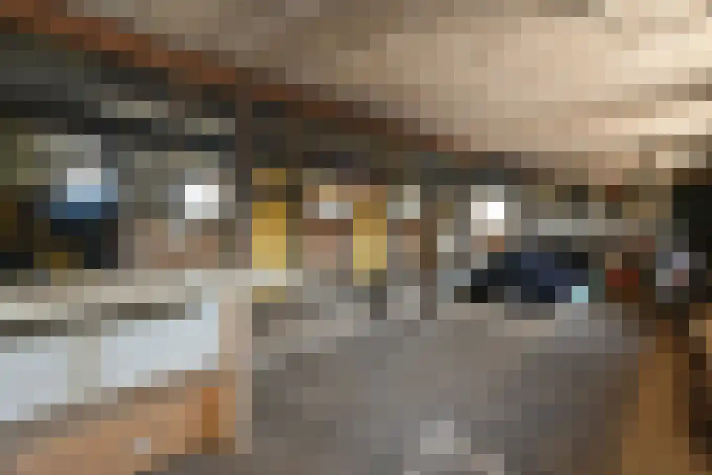 Kinkhoven 16 Neer thumbnail 34