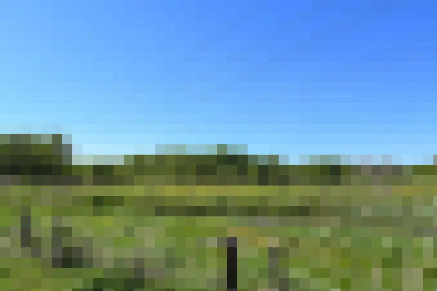 Kinkhoven 16 Neer thumbnail 49