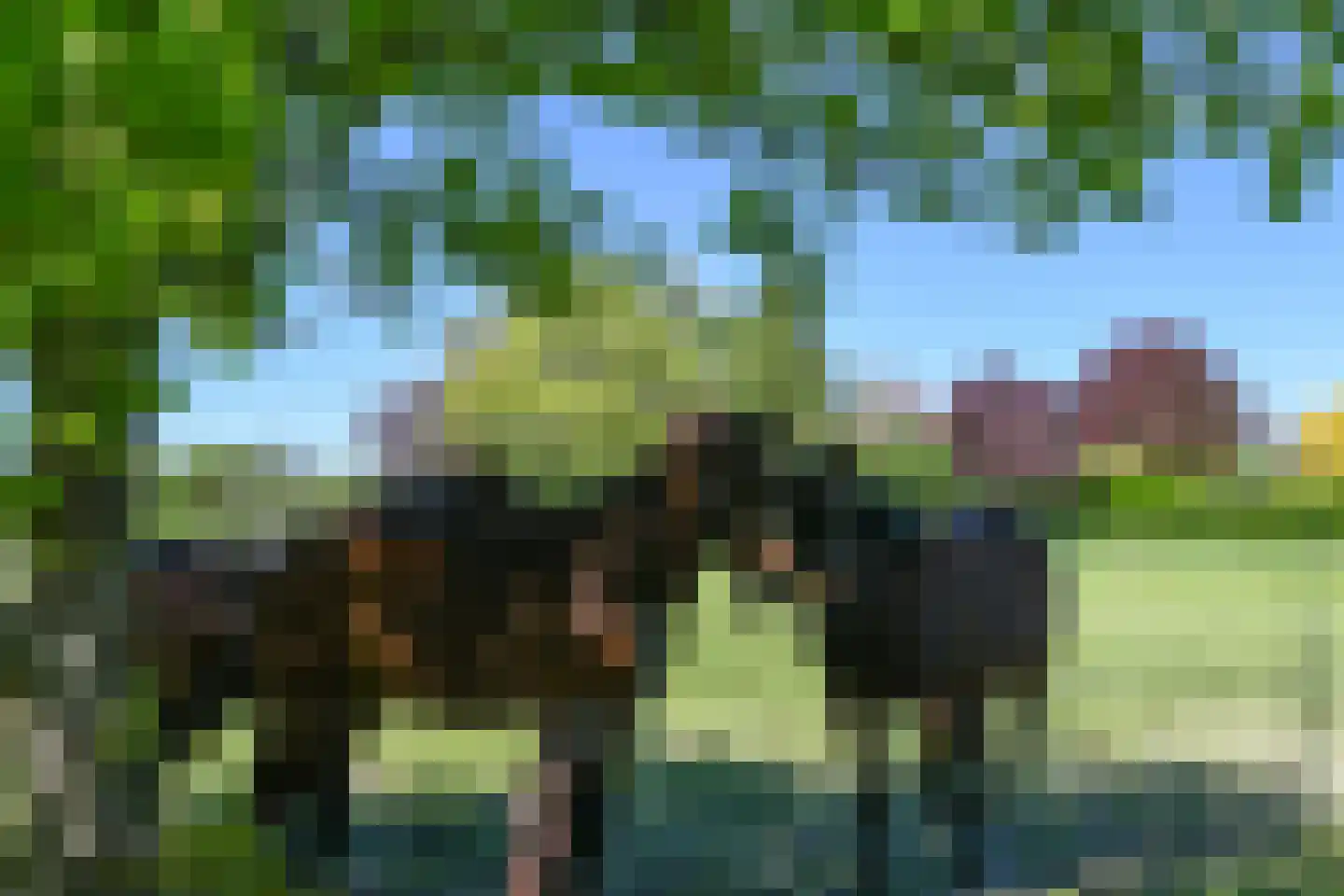 Kinkhoven 16 Neer thumbnail 53
