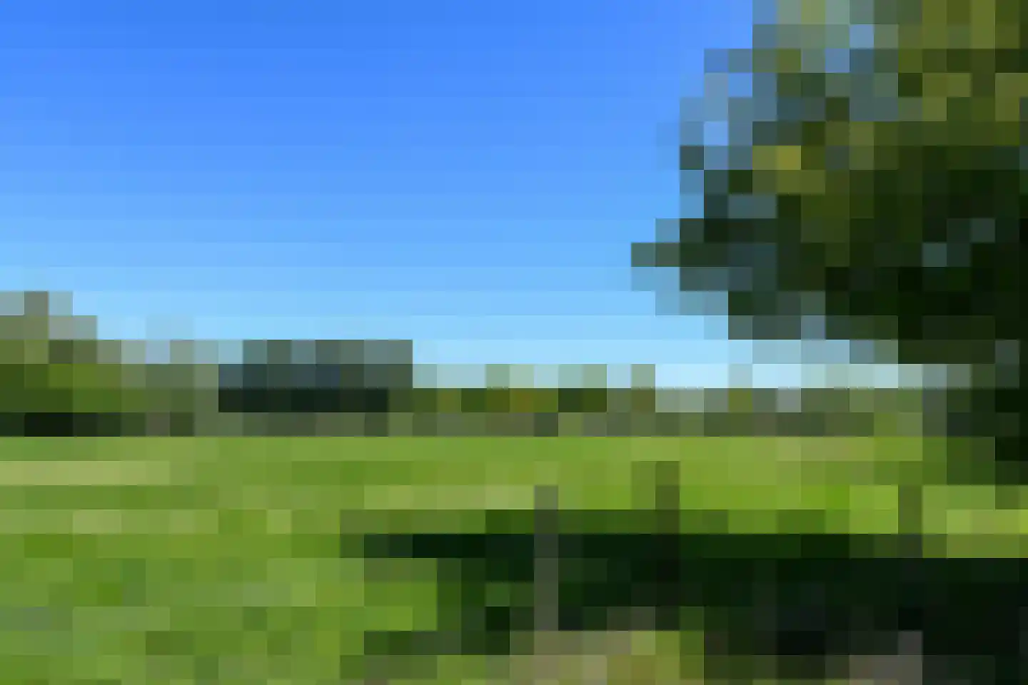 Kinkhoven 16 Neer thumbnail 54