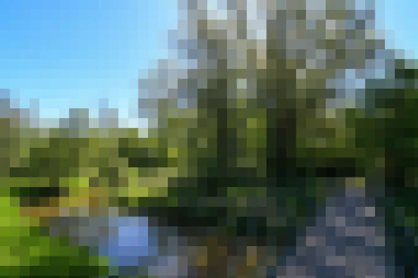 Kinkhoven 16 Neer thumbnail 55