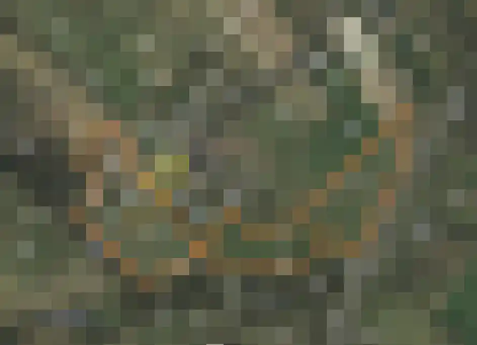 Kinkhoven 16 Neer thumbnail 62