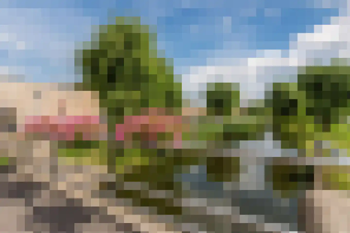Kinrooistraat 2 Amsterdam thumbnail 51